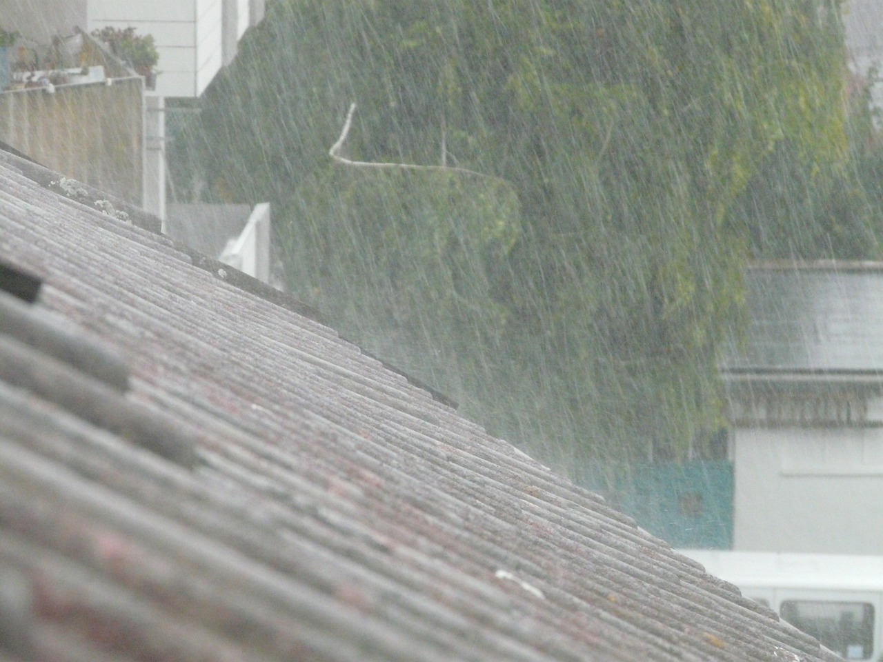 成都爆雨最新消息，暴雨影响下的城市动态与应对措施