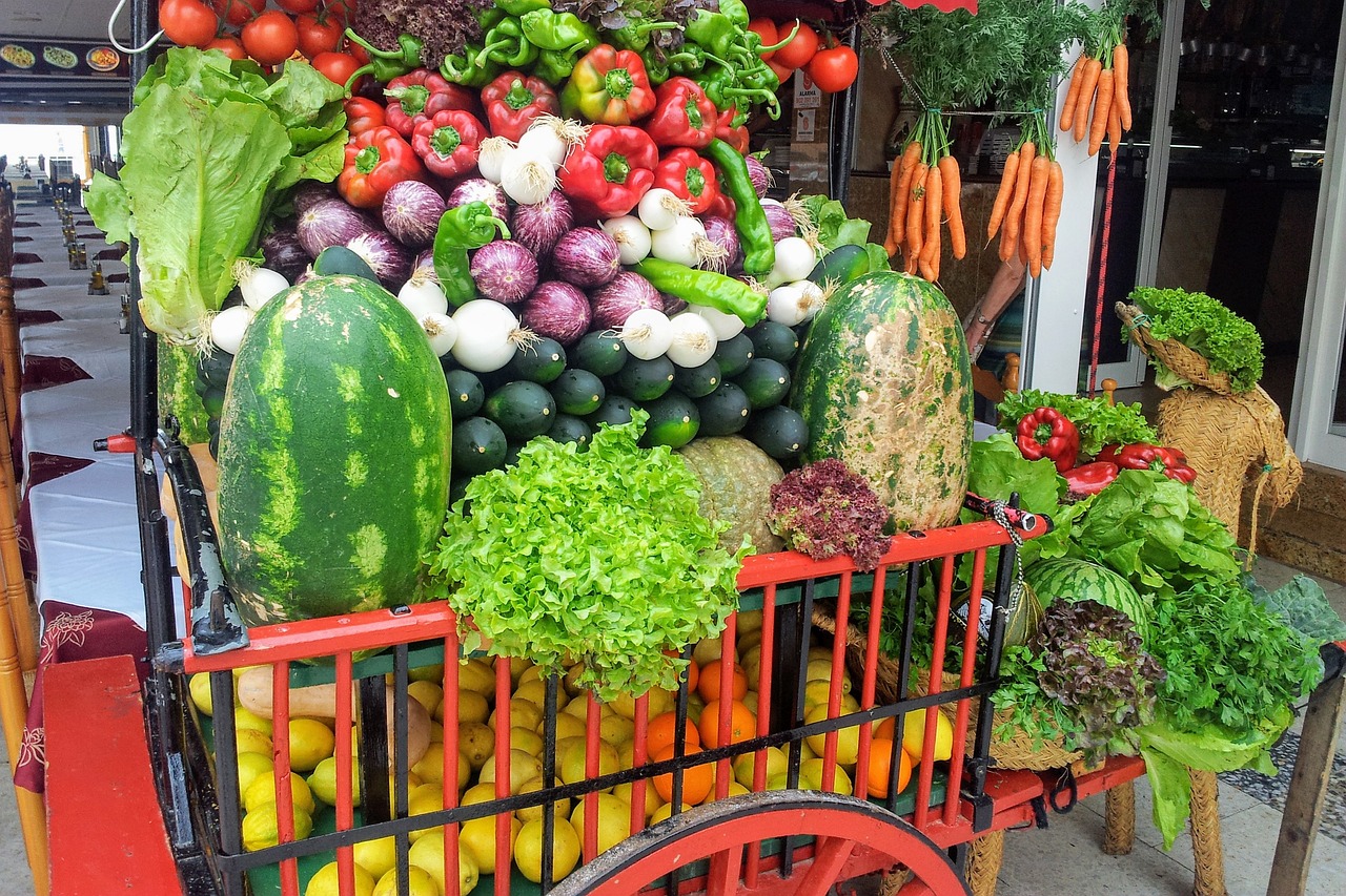 广东省蔬菜种植前景展望