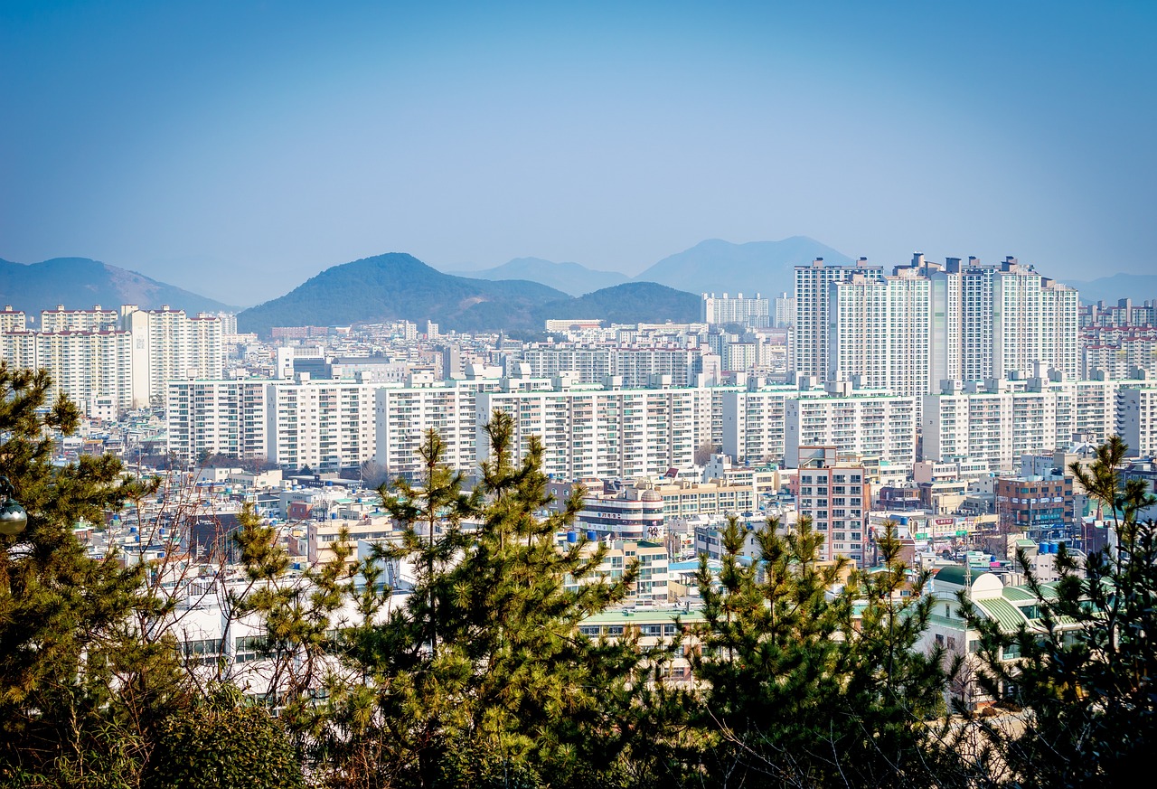 浦江区广东省，地域特色与发展前景