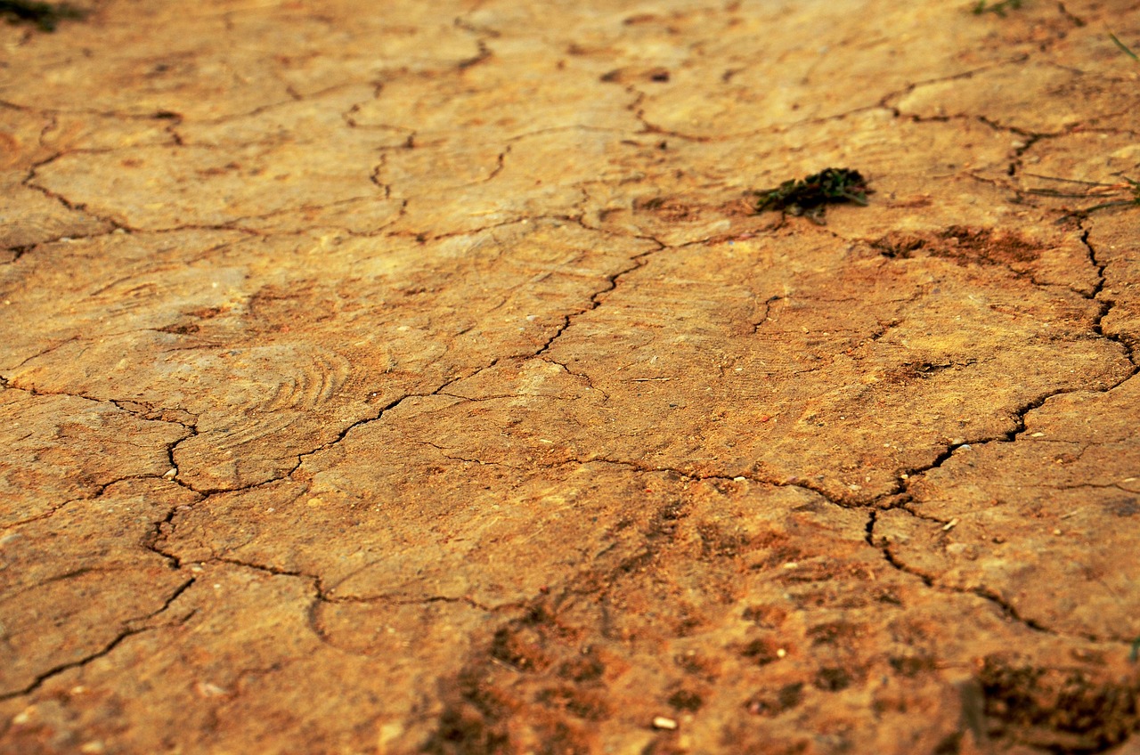 广东省土壤与生态环境研究所，守护大地之母的科研先锋