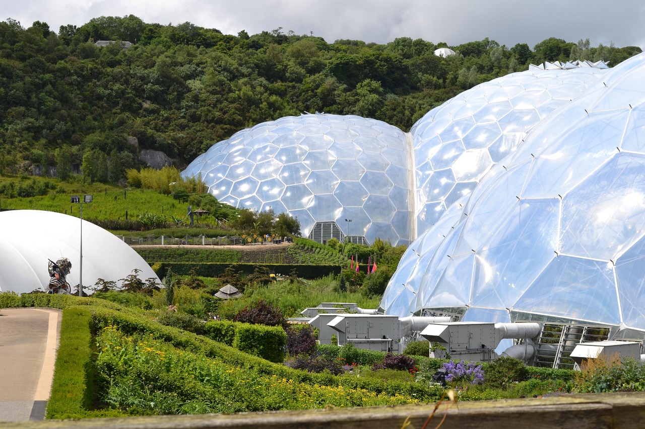 江苏登高生物科技，引领生物科技新纪元